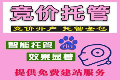 百度信息流广告的实时数据监测与优化案例